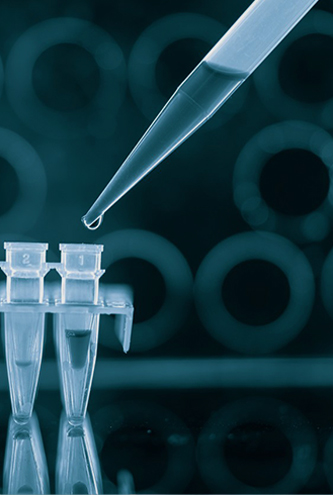 Molecular Microbiology