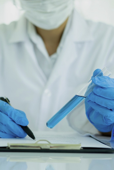 Our Attention to Quality